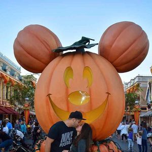 Meet your Posher, Elle